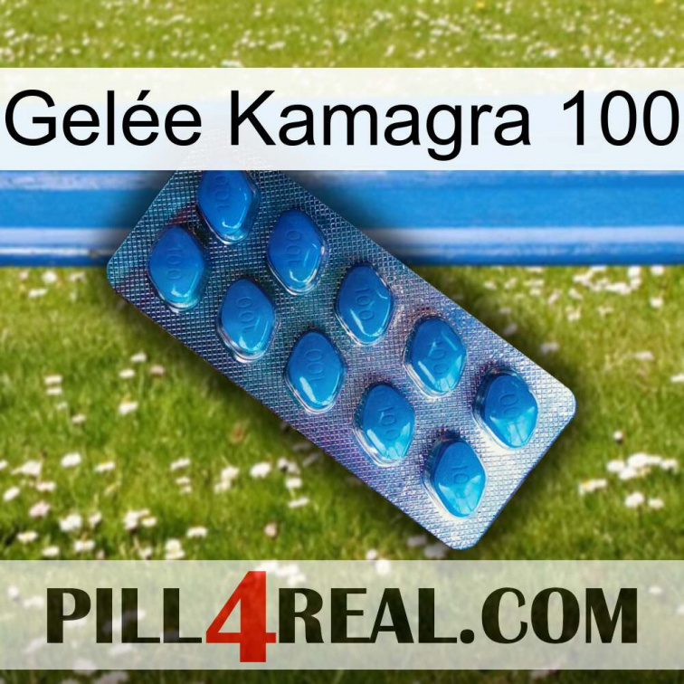Gelée Kamagra 100 viagra1